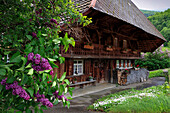 Schwarzwaldhaus mit Fliederbusch, Südlicher Schwarzwald, Baden-Württemberg, Deutschland, Europa