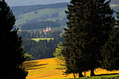 Blick über Landschaft auf die Kirchtürme von St. Märgen, Südlicher Schwarzwald, Baden-Württemberg, Deutschland, Europa