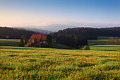 Schwarzwaldhaus mit Blumenwiese, Südlicher Schwarzwald, Baden-Württemberg, Deutschland, Europa