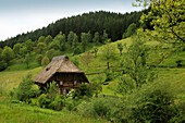 Schwarzwaldhaus im Grünen, Südlicher Schwarzwald, Baden-Württemberg, Deutschland, Europa