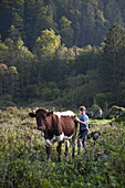 Almabtrieb, Konigssee, Berchtesgadener Land, Upper Bavaria, Germany