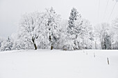 Winterlandschaft, Tegernseer Land, Oberbayern, Bayern, Deutschland