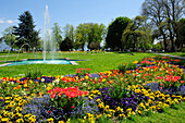 Blumenbeet mit Springbrunnen, Lindau, Bodensee, Bayern, Deutschland