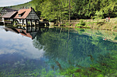 Blautopf, Spring and source of the river blau, Blaubeuren, Alb-Donau-Kreis, Bavaria, Germany