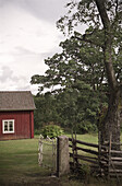 Sommerliche Landschaft mit rotem Holzhaus, Smaland, Südschweden, Schweden, Europa
