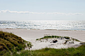 Strand von Skanör mit Blick auf den Öresund, Skanör, Schonen, Südschweden, Schweden