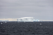 Antarktische Eisberge unter Wolkenhimmel, Südliche Shetlandinseln, Antarktis