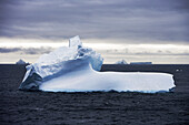Antarktische Eisberge unter Wolkenhimmel, Südliche Shetlandinseln, Antarktis