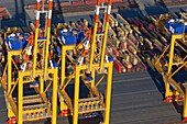 Aerial view of the container port, Containers and loading cranes in the port, Bremerhaven, northern Germany