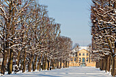 Verschneite Allee, Herrenhäuser Gärten, Hardenbergsches Haus im Hintergrund, Hannover, Niedersachsen, Deutschland