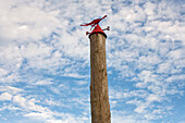 Weather vane on a wooden stack at beach, St. Peter Ording, Schleswig-Holstein, Germany