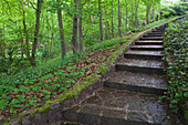 Treppe, Landschaftspark, Schloss Agathenburg, Agathenburg, Niedersachsen, Deutschland