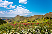 Landschaft, Madonie, Sizilien, Italien