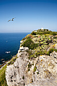 Leuchtturm, Capo di Milazzo, Sizilien, Italien