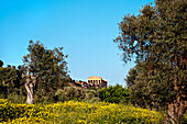 Concordia Temple, Valley of temples, Agrigento, Sicily, Italy