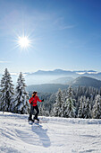 Woman backcountry skiing, ascending Hirschberg mountain, snow-covered forest and Bavarian Alps in the background, Hirschberg, Bavarian Pre-Alps, Bavarian Alps, Upper Bavaria, Bavaria, Germany