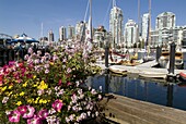 flowers, boats in marina at Granville Island, Vancouver, BC, Canada