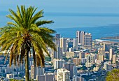 Waikiki Overview  Honolulu  Hawaii United States