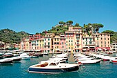 Portofino, Liguria, Ilaly, Italien