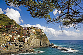 Manarola, Cinque Terre. Liguria, Italy