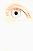 Adult, Adults, Attention, Attentive, Big Brother, Blue eyed, Blue eyes, Blue-eyed, Close-up, Closeup, Color, Colour, Concept, Concepts, Disturbing, Eye, Eyes, human, One, One person, people, person, persons, Saskia, Sense, Senses, Sight, Single person, Sp