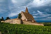 Hunawihr, fortified medieval church in the vineyards, Alsace