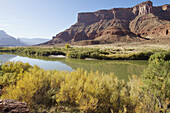 Rio Colorado cerca de Moab; Utah; Estados Unidos