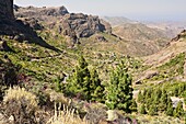 Tejeda  Gran Canaria  Islas Canarias  España