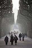 Main walkway of Jardin des Plantes, Paris. France
