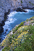 North Bay Cliffs. Barrika. Vizcaya. Basque Country. Spain.