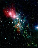 Young stars, like toddlers, want to start showing their independence  This Spitzer view shows a stellar version of the ´terrible twos´ -- the stars are beginning to move away from their formative cloud, seen in red and green  Jets can be seen coming off t