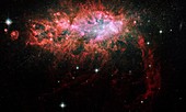 Astronomers have long puzzled over why a small, nearby, isolated galaxy is pumping out new stars faster than any galaxy in our local neighborhood   Now NASA´s Hubble Space Telescope has helped astronomers solve the mystery of the loner starburst galaxy, c