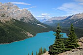 Peyto Lake, Banff National Park, Rocky Mountains, Alberta, Canada