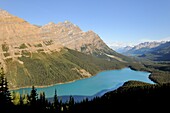 Peyto Lake, Banff National Park, Rocky Mountains, Alberta, Canada