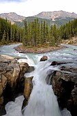Sunwapta river Falls, Jasper National Park, Rocky Mountains, Alberta, Canada