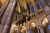 france, chartres, cathédrâle : intérieur