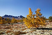 Photo Joergen Larsson Dörålseter Rondane Norway