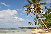 Caraibes Republique Dominicaine péninsule de Samana  Vers le village de Las Galeras la plage Playita  Dominican Republic