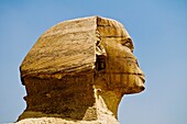 The Sphinx, Giza, Egypt.