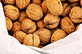 Sack of Walnuts