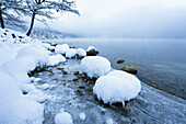 Winter scenery at lake Kochelsee, Upper Bavaria, Germany