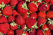 Ripe red strawberries, Fragaria, Fruit