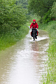 Cyclist passing flooded Isar Cycle Route, near Moosburg, Upper Bavaria, Germany