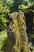 Growing Rock, Usterling, Isar Cycle Route, Lower Bavaria, Germany