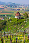 Ölbergkapelle, Ehrenstetten, Markgräflerland, Schwarzwald, Baden-Württemberg, Deutschland