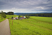Oberfallengrundhof (farmhouse) close to Gütenbach, Near Furtwangen, Black Forest, Baden-Württemberg, Germany, Europe