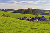 Oberfallengrundhof (farmhouse) close to Gütenbach, Furtwangen, Southern part of Black Forest, Black Forest, Baden-Württemberg, Germany, Europe