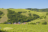 View over Vineyards at Vogtsburg and the Badberge, Vogtsburg, Baden-Württemberg, Germany, Europe