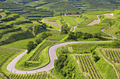 Blick über Weinberge auf Oberbergen, Kaiserstuhl, Baden-Württemberg, Deutschland, Europa