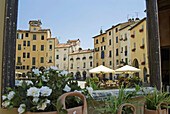 Piazza dell´Anfiteatro, Lucca. Tuscany, Italy